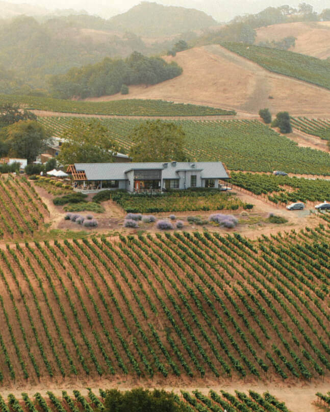 Aerial view of the Estate House