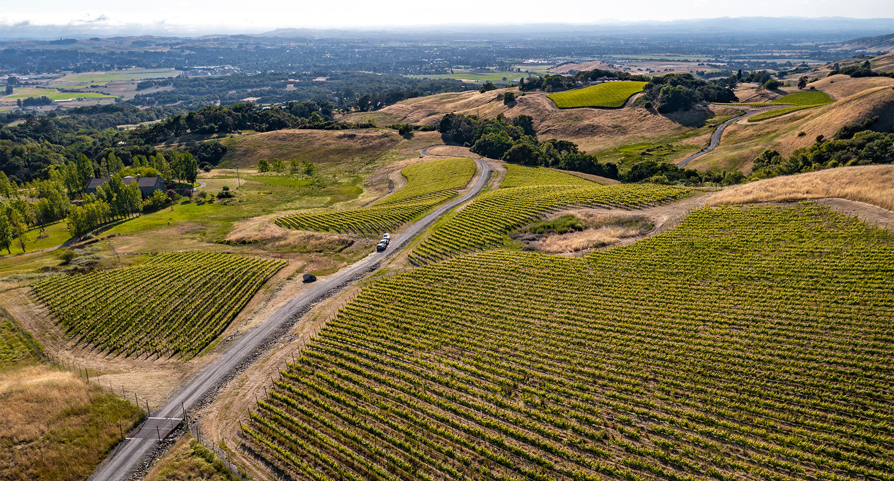 Aerial view of Nightwing Vineyard