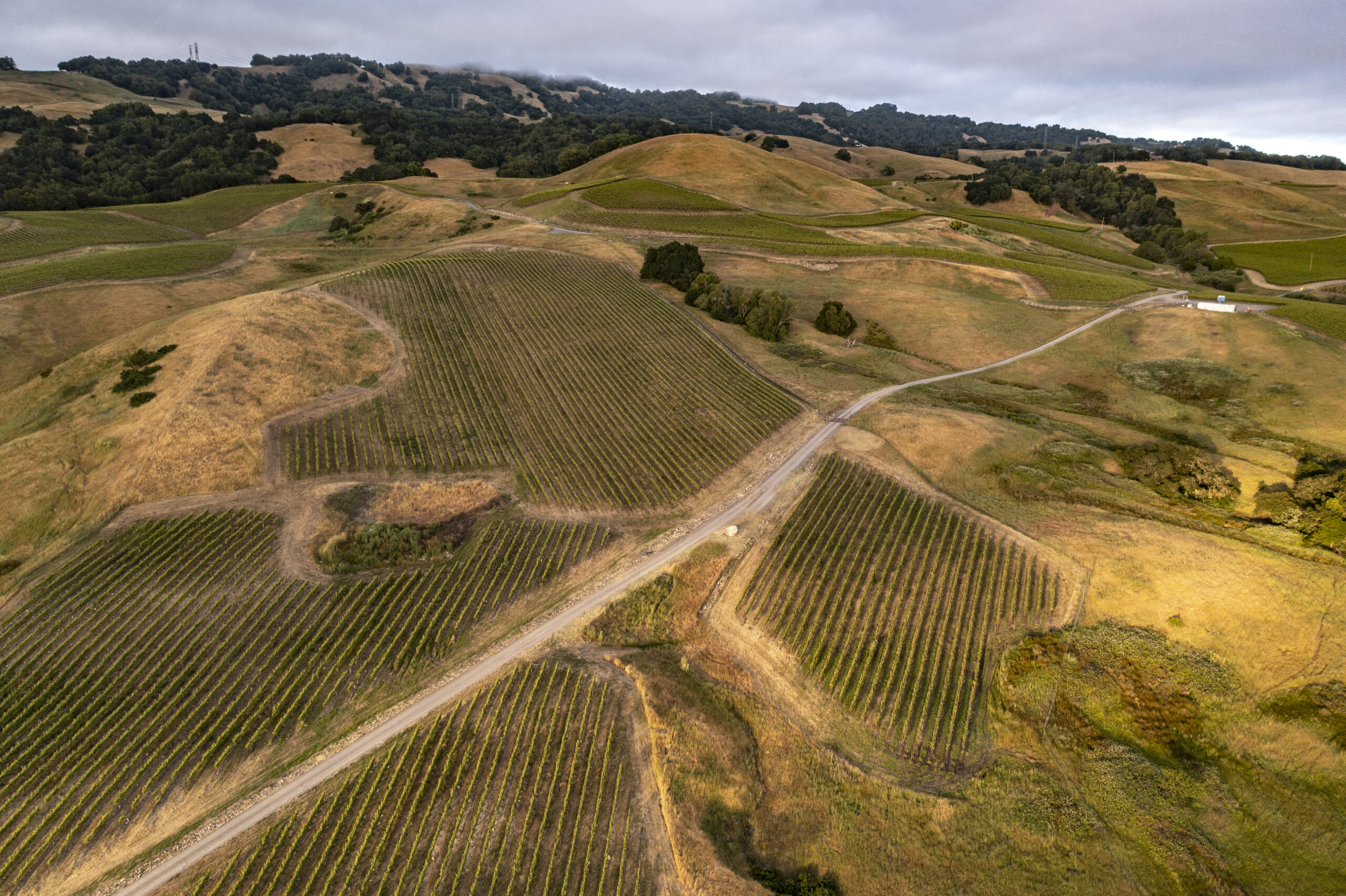 Aerial view of Nightwing Vineyard
