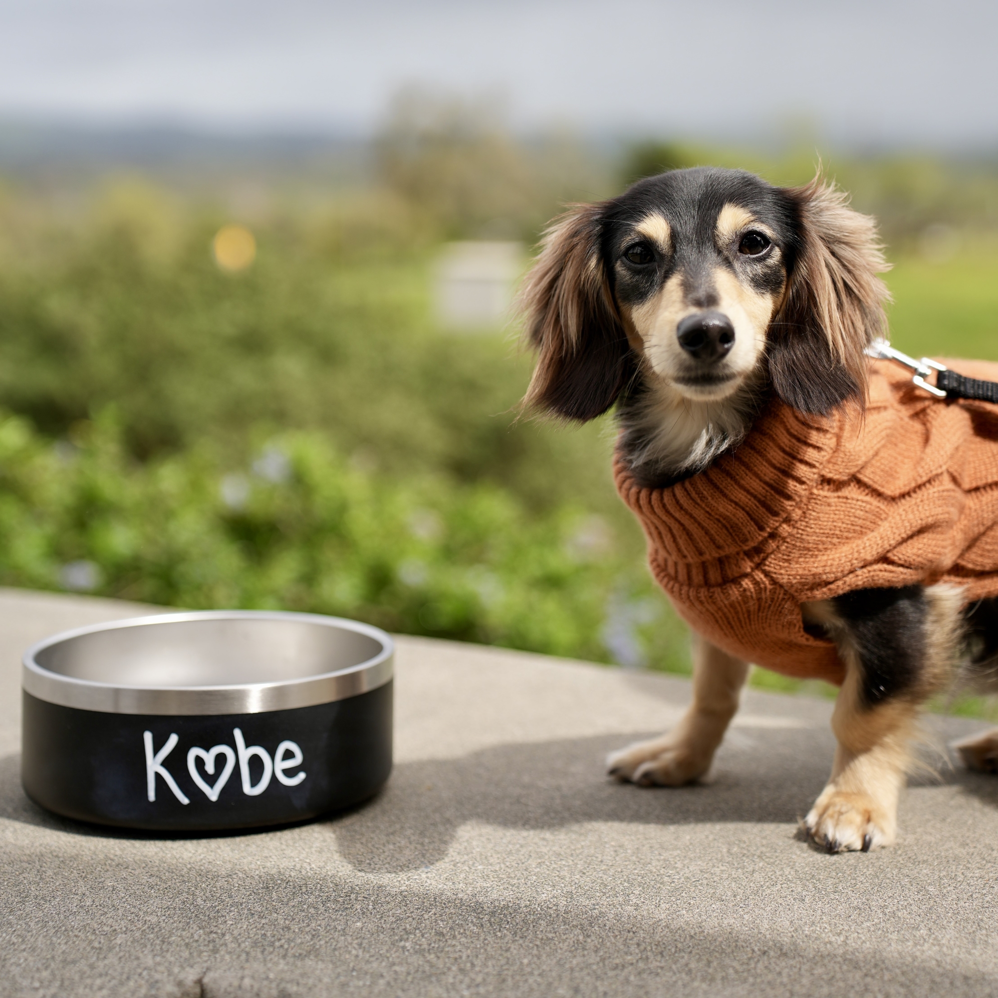 A dog next to a water bowl with the name "Kobe" on it
