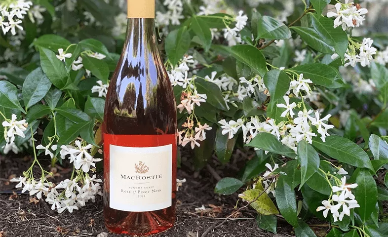 “Rosé Round-Up: Pinks to Pick-Up This Summer”
