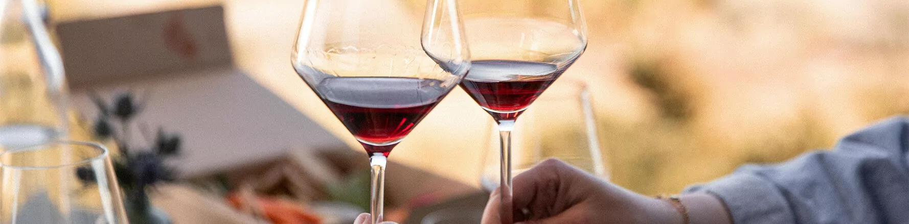 “Wine Tasting in Napa and Sonoma” intro image