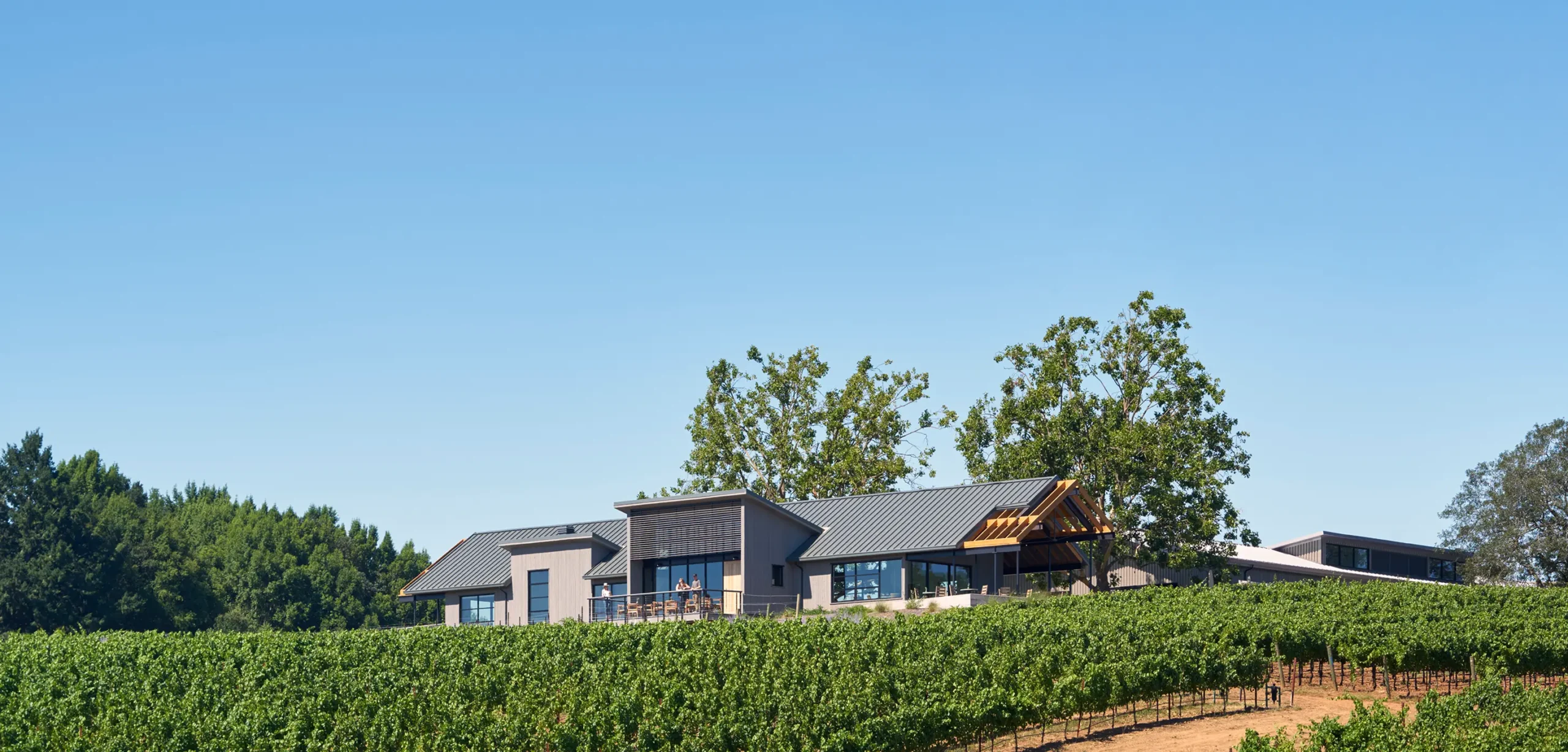A view of MacRostie Estate House and the surrounding vineyards.