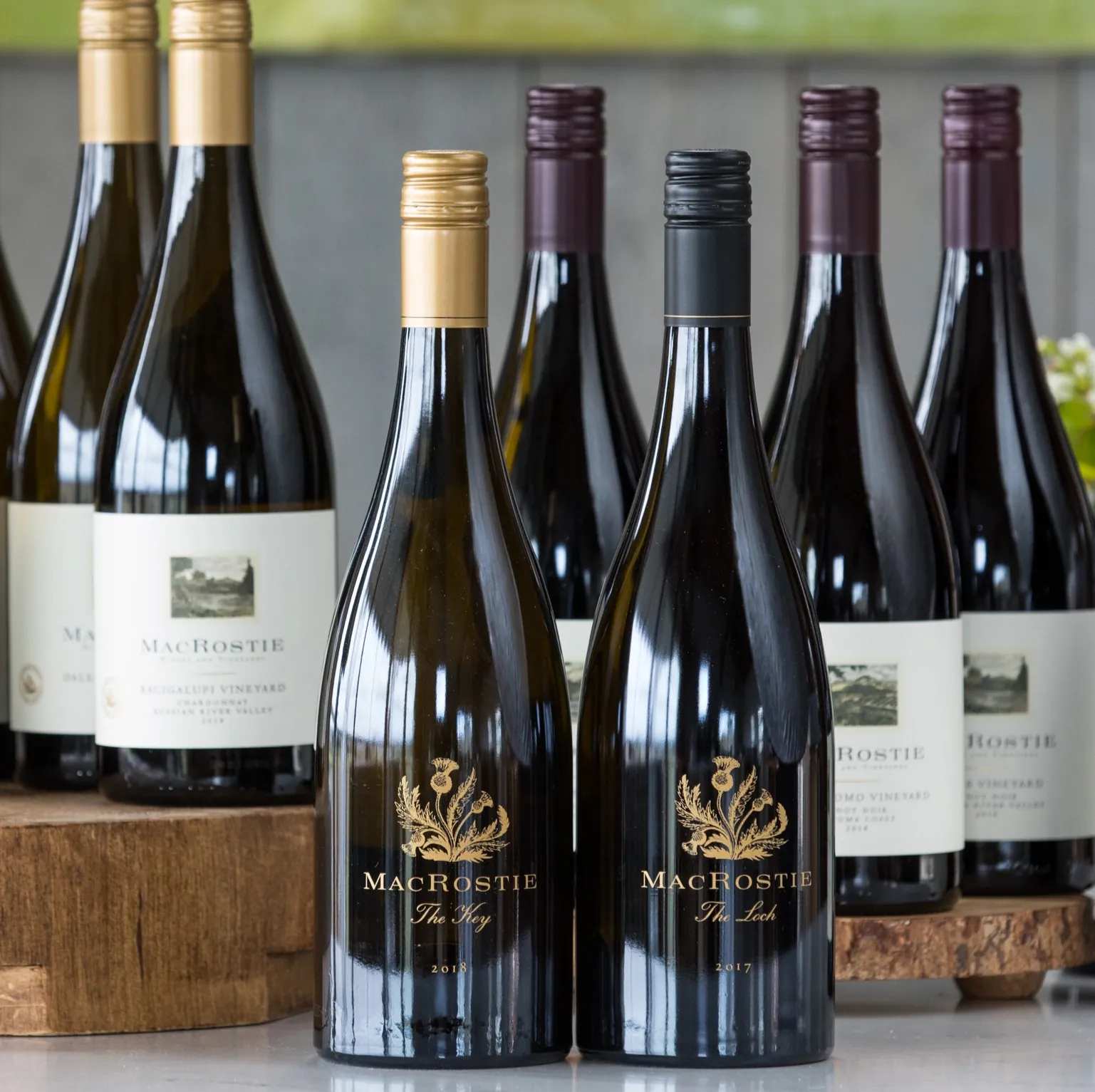 Wine Cellar Essentials