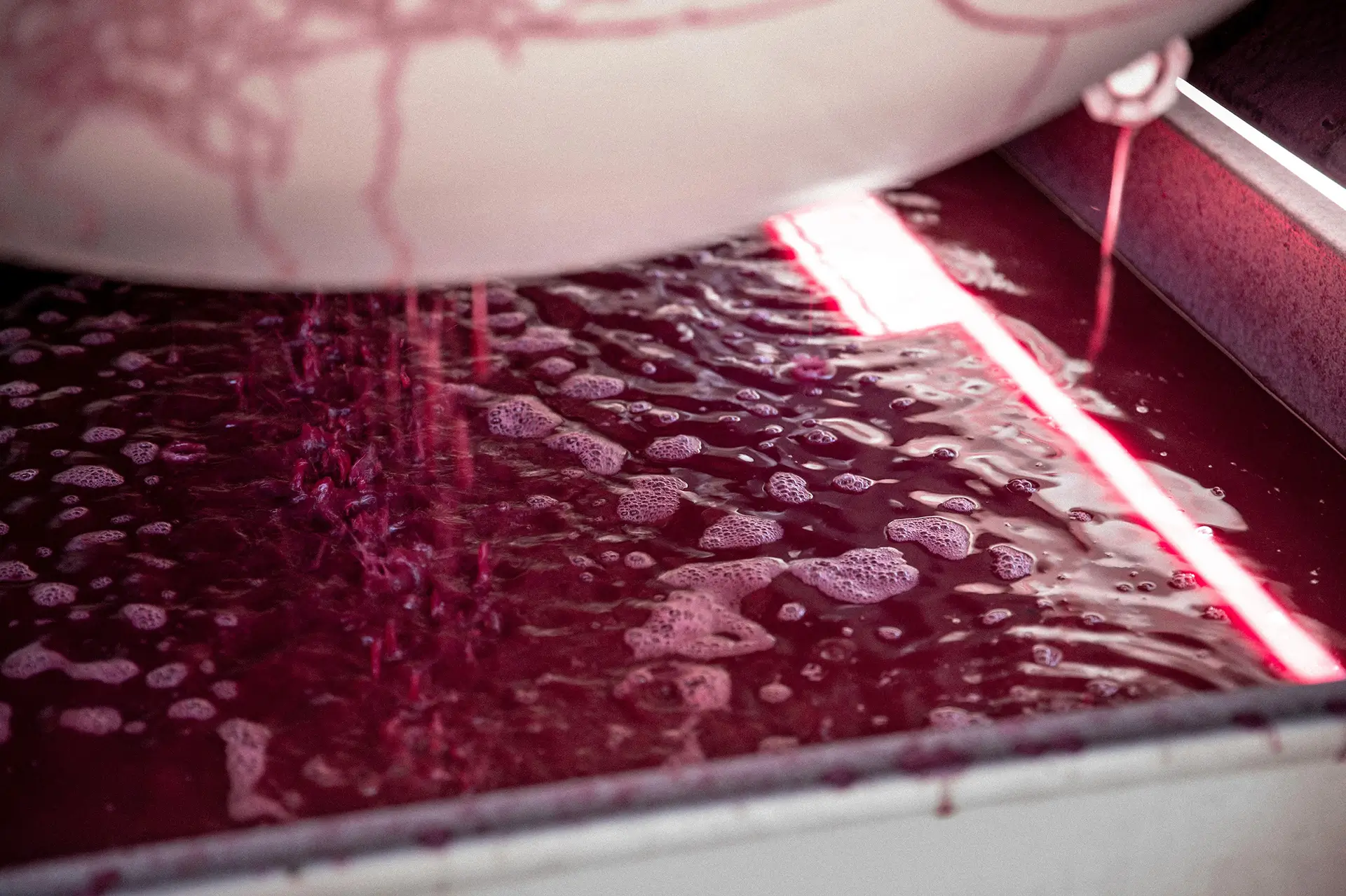 Cabernet Sauvignon