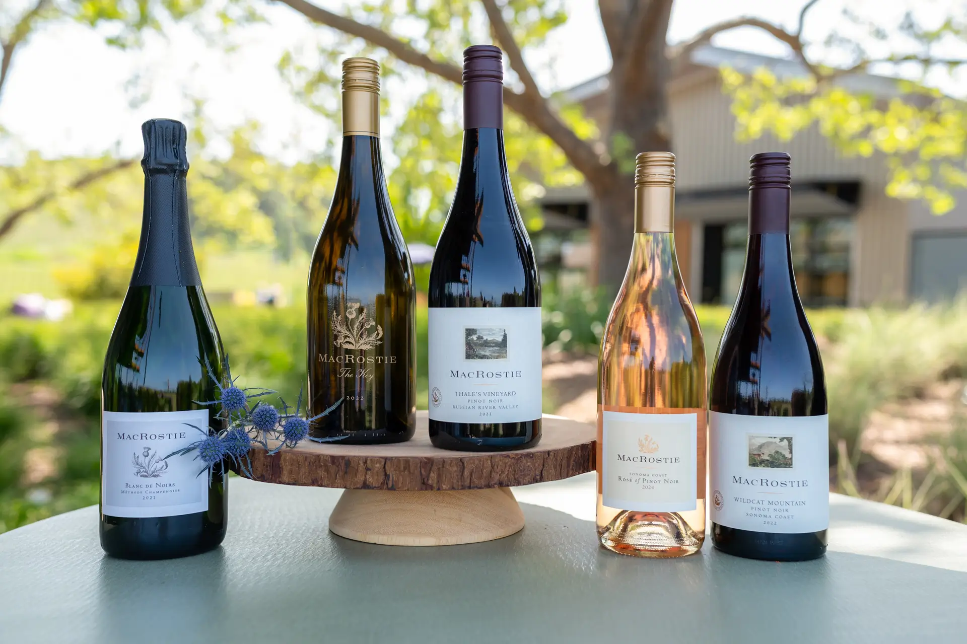 Our Wines
