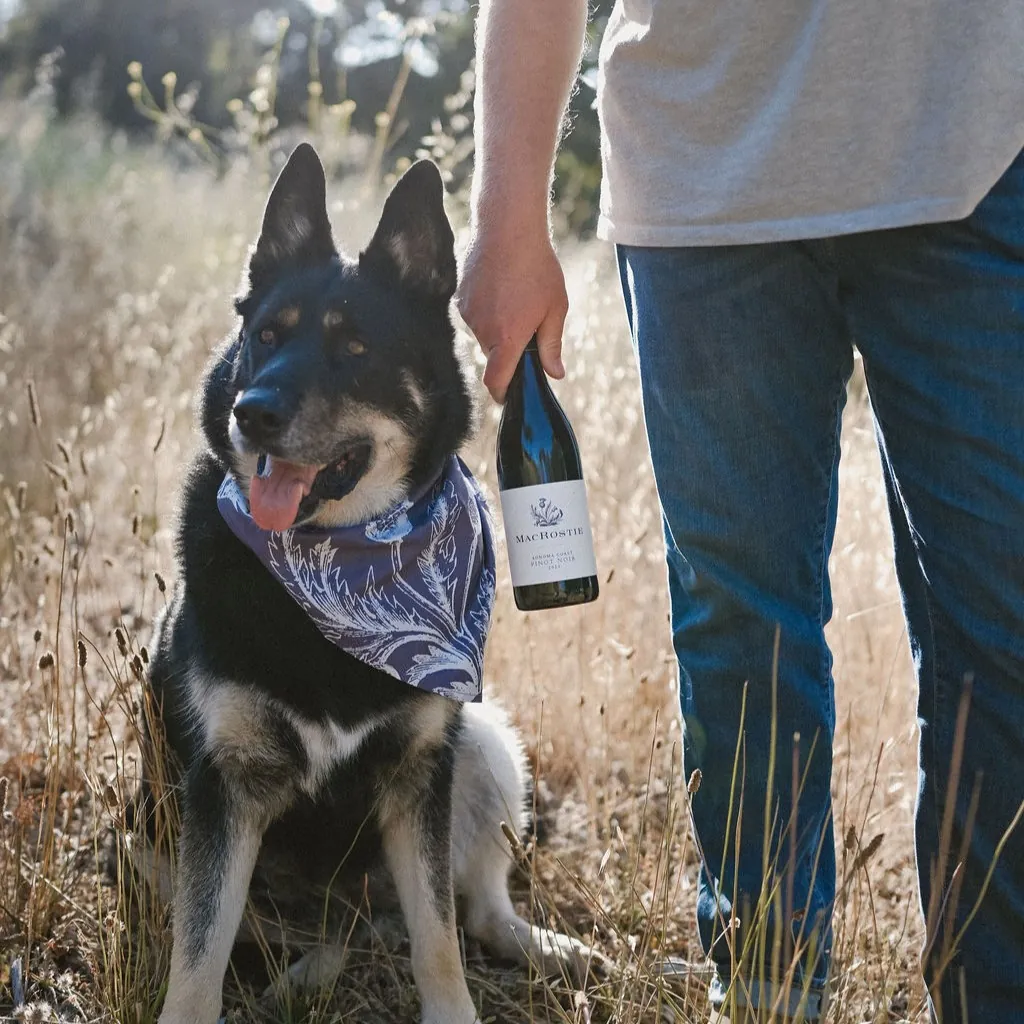 Person holding a bottle of MacRostie wine next to a dog.