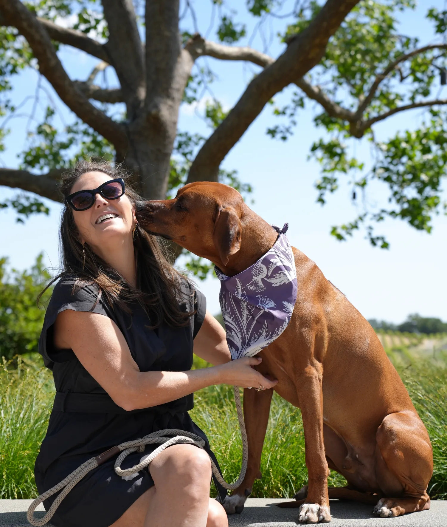 Person petting a dog outside the MacRostie Estate House