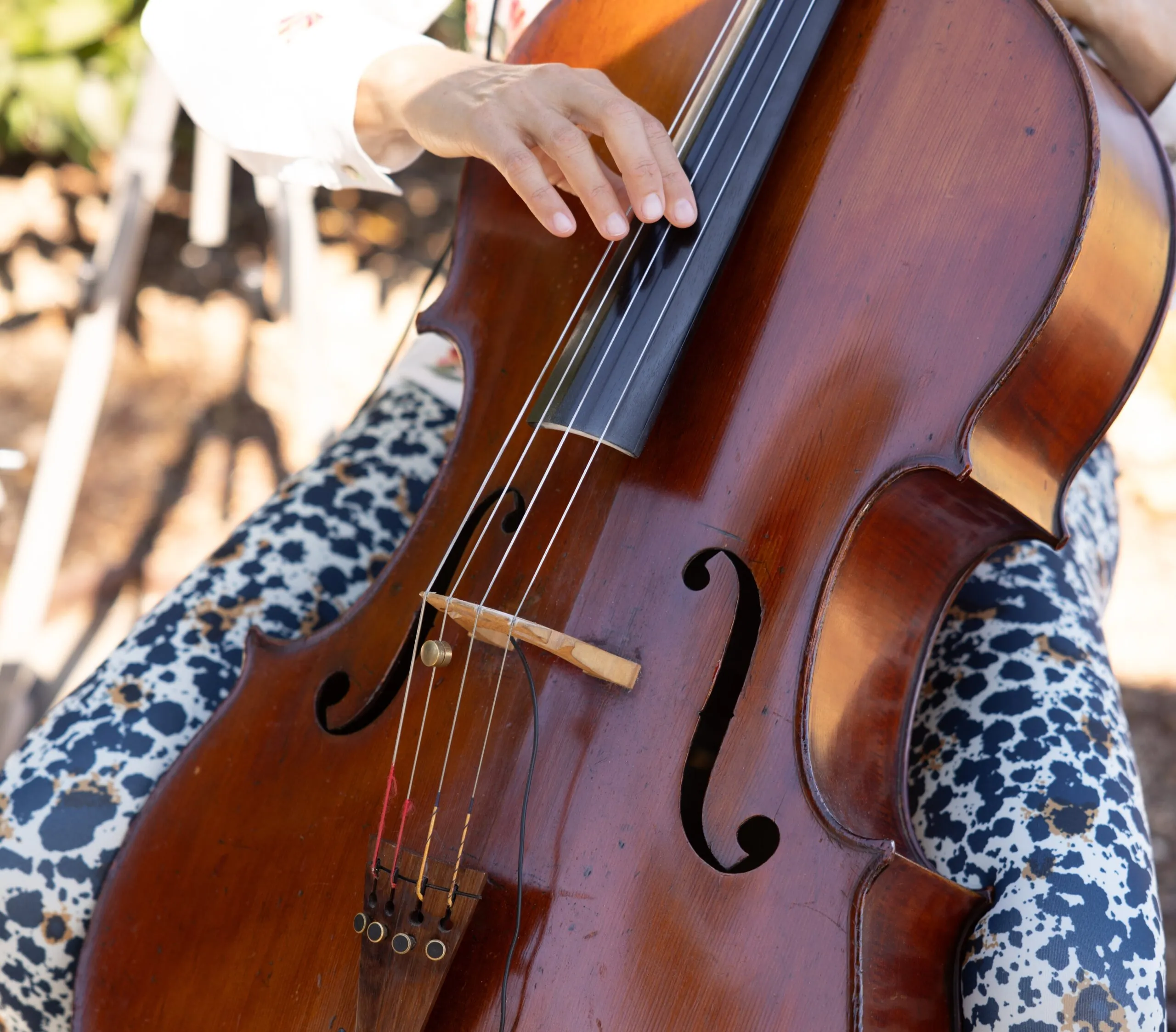 Person playing the cello
