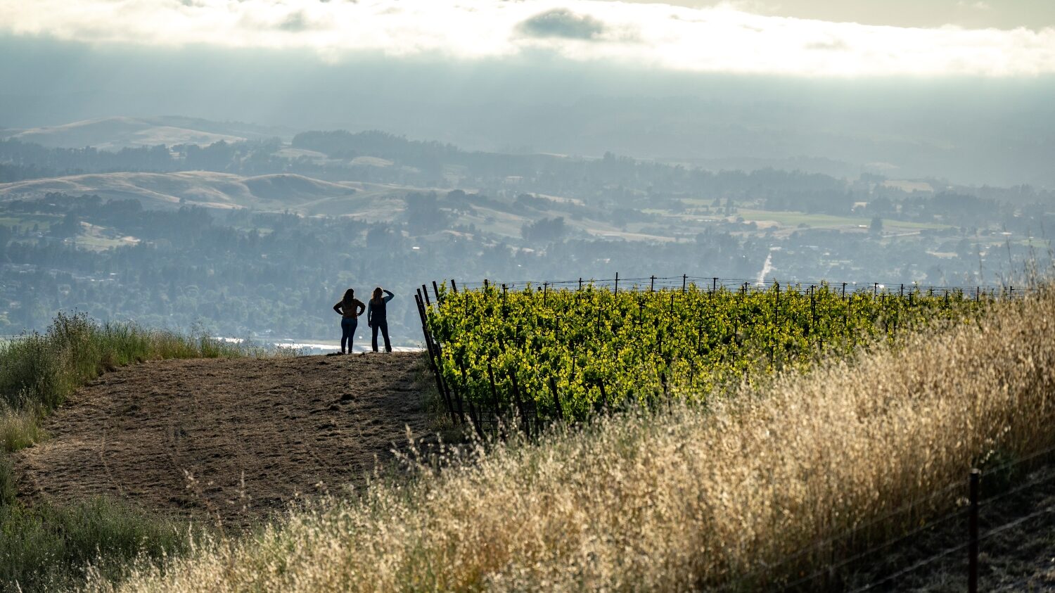 Winemakers Heidi Bridenhagen and Carolina Guerra looking at vista from Nightwing Vineyard.