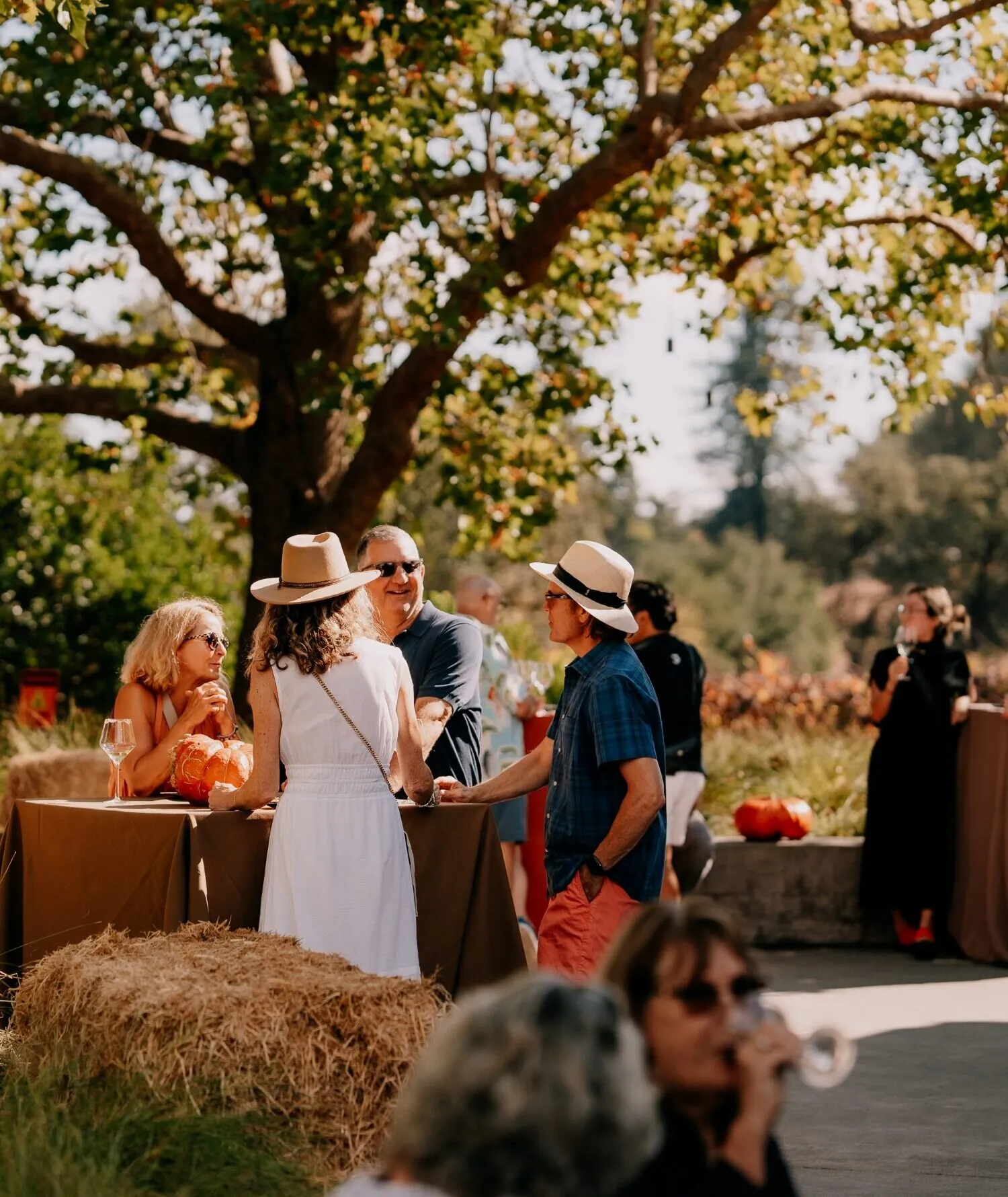 Things to Do in Healdsburg Besides Wine Tasting | MacRostie