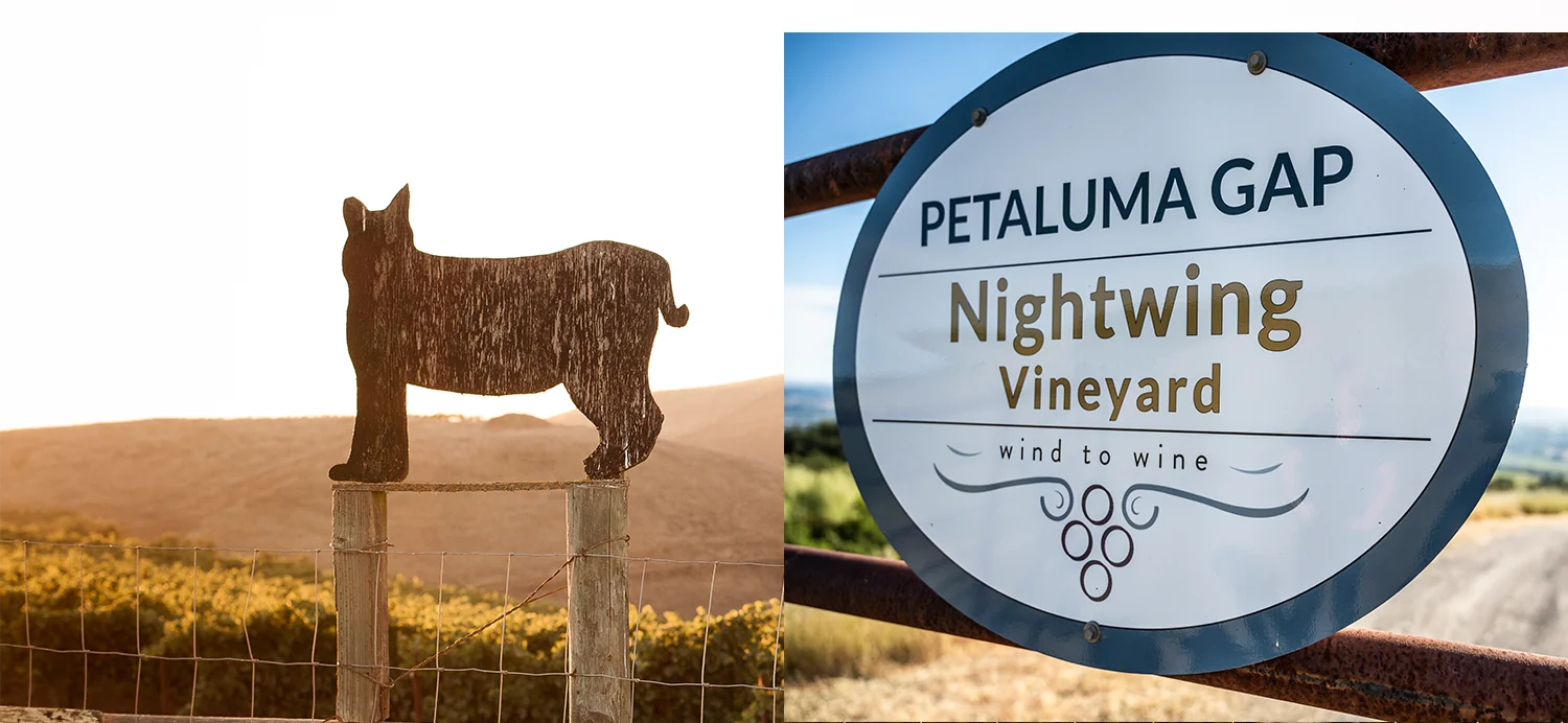 Signs from Wildcat Mountain and Nightwing Vineyard