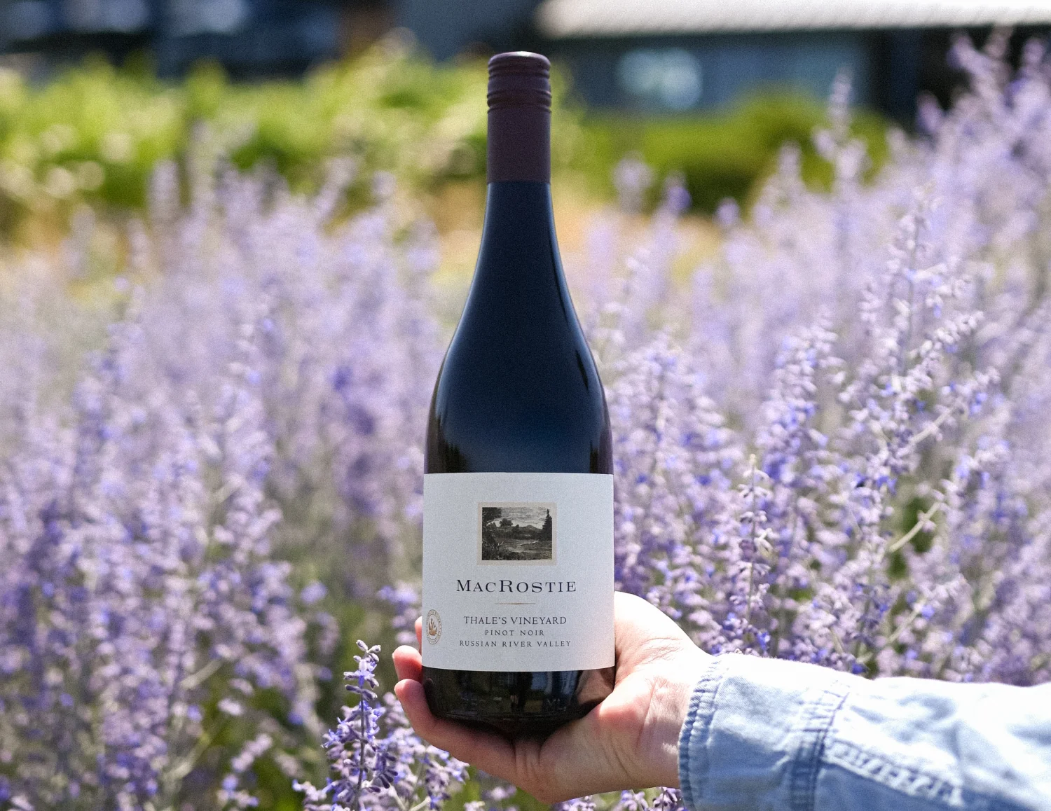 Bottle of Thale's Pinot Noir being held up in front of a bush with purple flowers