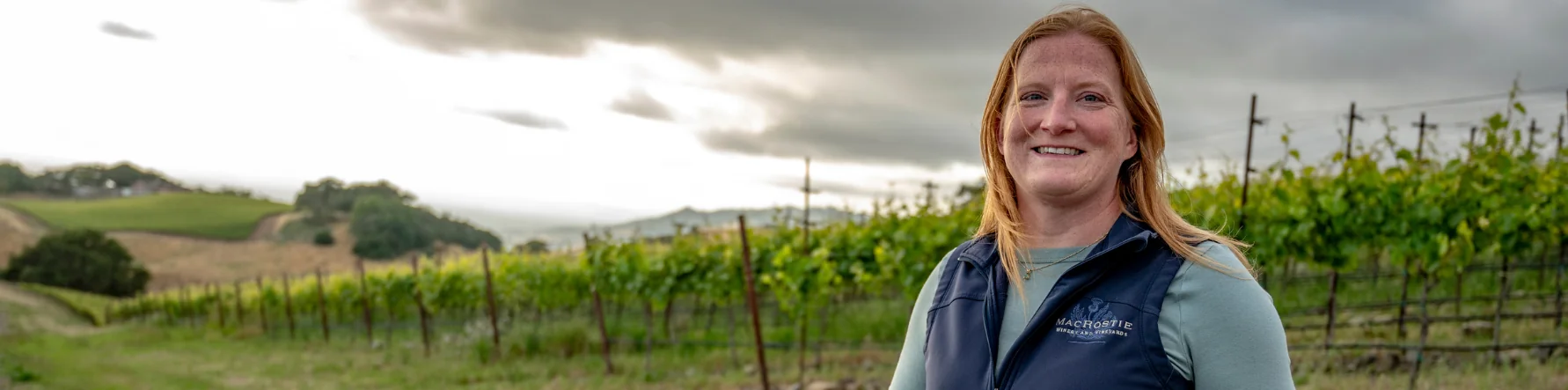 Holiday Wishes intro image