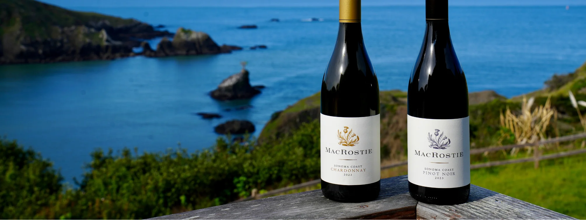 Sonoma Coast wines with a coastline in the background