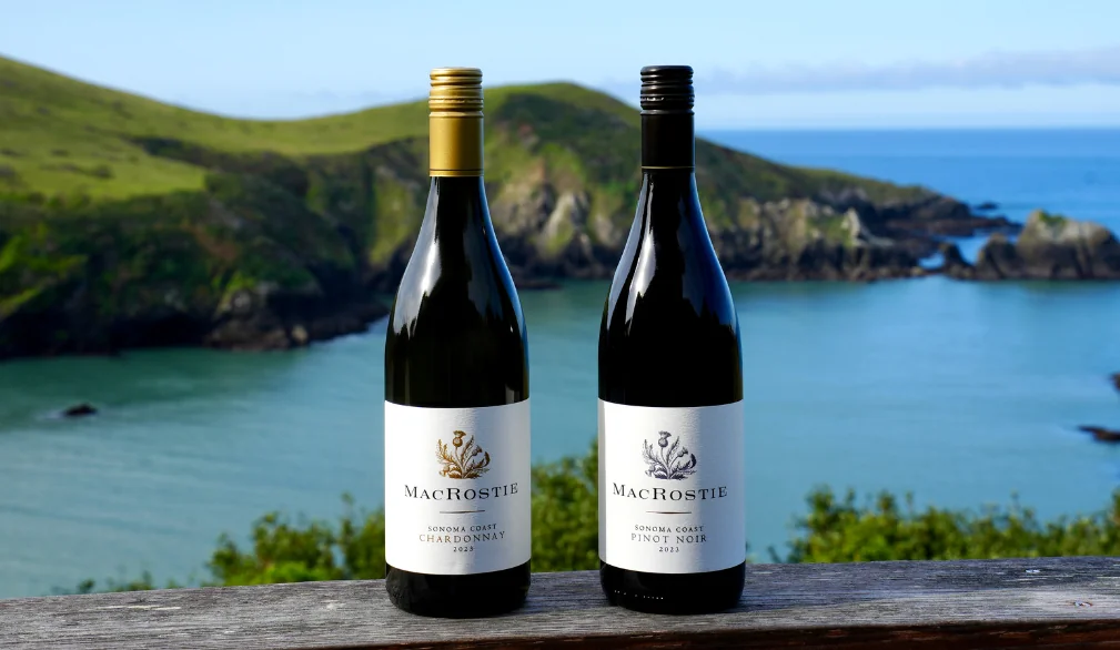 Sonoma Coast wines with a coastline in the background