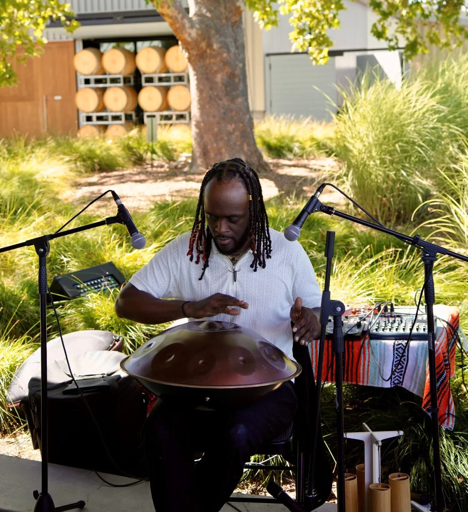 Musician performing at the MacRostie Estate House