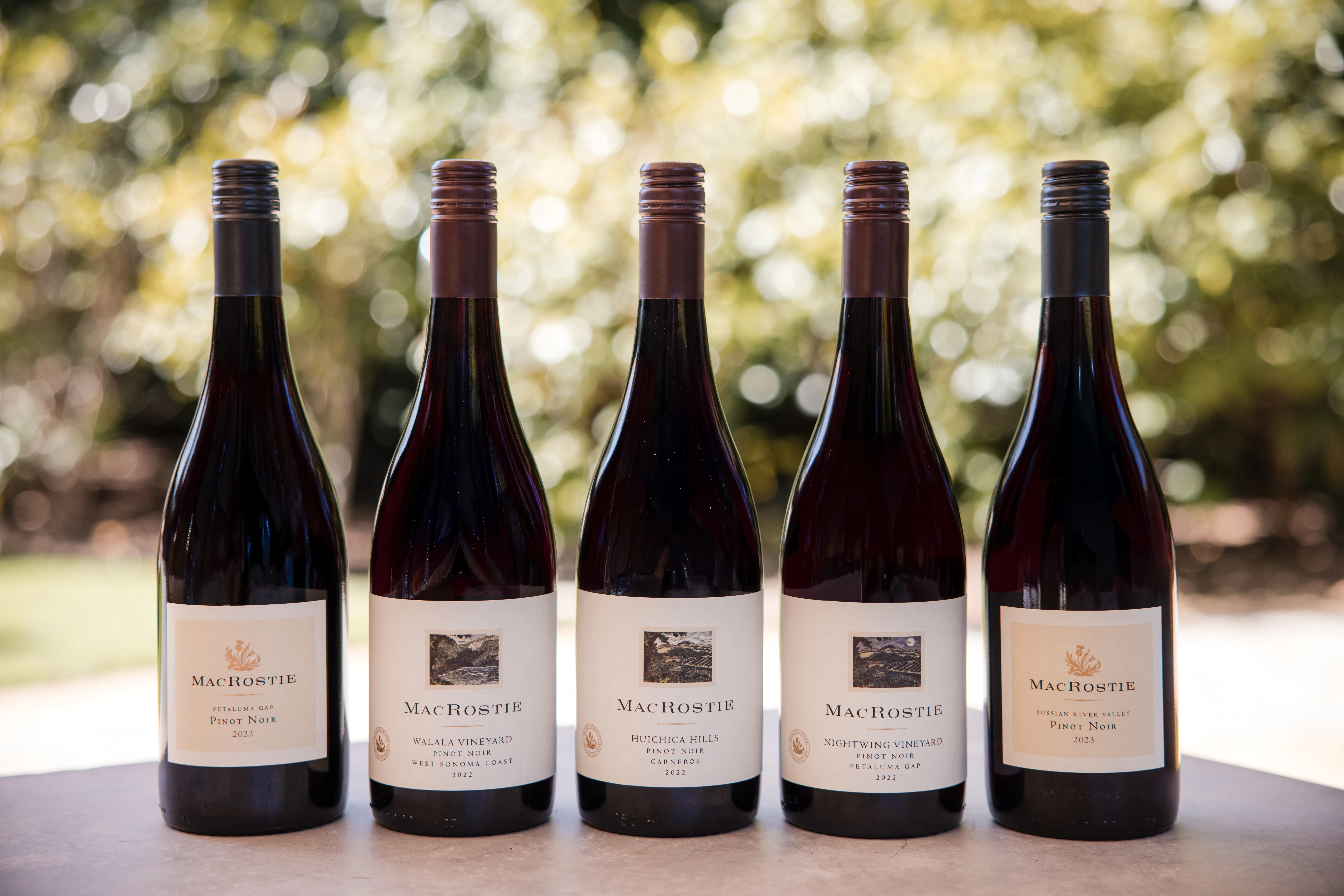 Lineup of Pinot Noir bottles