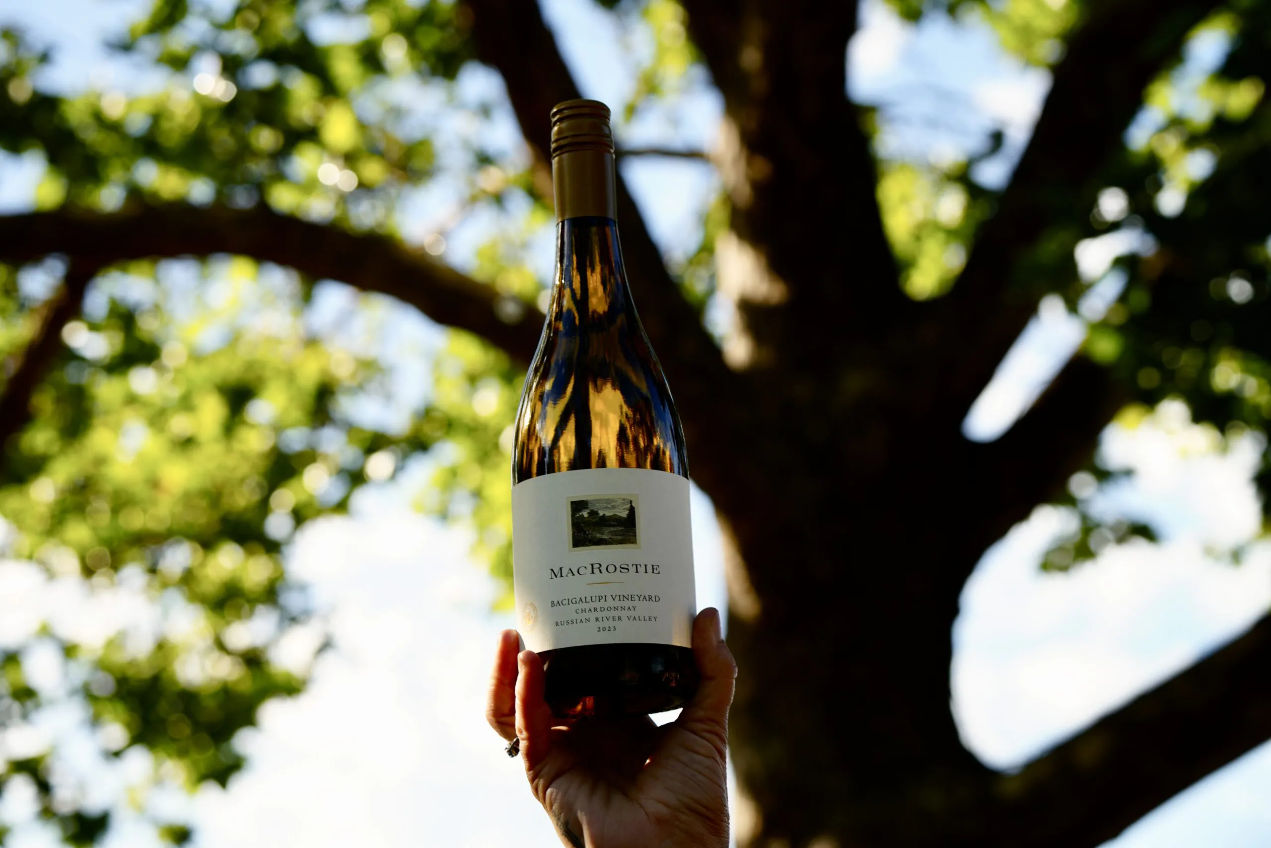 Bottle of Chardonnay