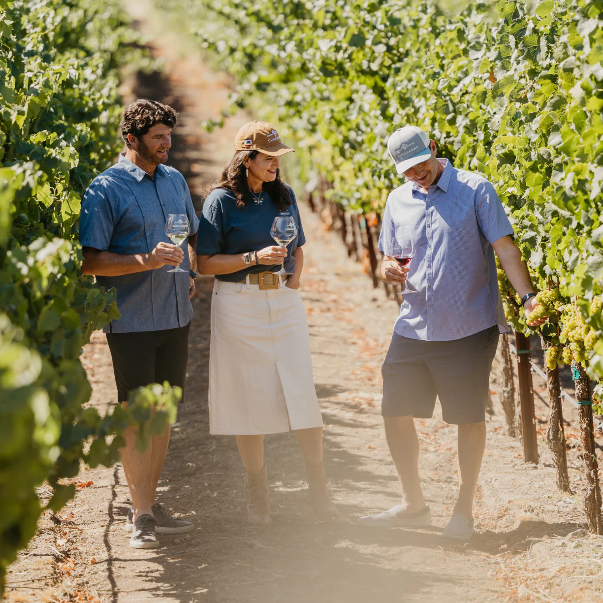 Vineyard Partners Series: Olivet Lane Vineyard and the Pellegrini Family